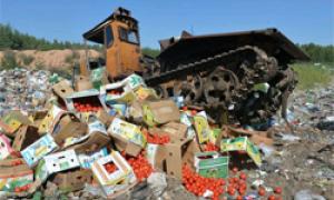 Російське Товариство захисту прав споживачів оскаржило в суді путінський указ про спалення їжі