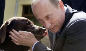 ЗМІ: Щоб Путін не нудьгував у відрядженнях, йому привозили собаку на приватному літаку 