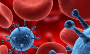 Вчені виявили новий вірус, який передається при переливанні крові