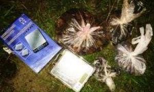 У Рівненській області затримали дві партії бурштину 