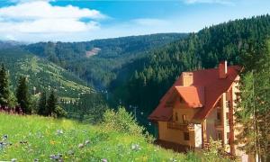 Що можна очікувати в 2015 році від цін на відпочинок у Карпатах та Закарпатті?