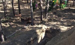 У Росії копають могили ще живим ветеранам (відео)