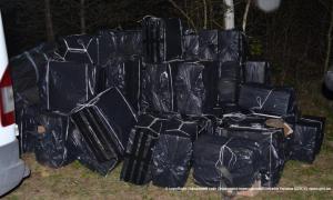 Волинські прикордонники вилучили 130 ящиків контрабандних сигарет
