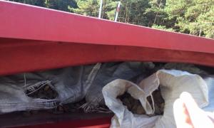 Рівнянин віз до Польщі 100 кг бурштину