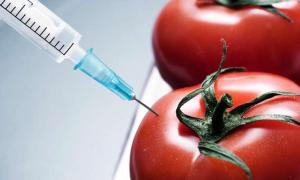 Зафіксовано перший випадок смерті від їжі з ГМО 