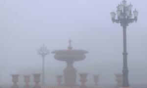 Влада Хабаровського краю РФ просить Китай погасити лісові пожежі