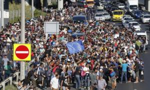 МВС Латвії: Шенгенська зона може припинити своє існування