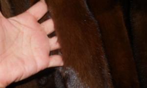 Житель Калінінградської області РФ намагався задушити дружину шубою