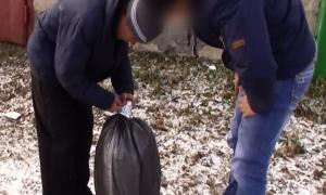 32-літній росіянин на очах у наркополіцейських намагався з’їсти 2,6 кг марихуани