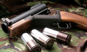 Під час антитерористичної операції у французькому Ліоні виявили арсенал зброї