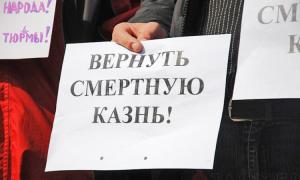 Новосибірське відділення «Єдиної Росії» проситиме в Путіна відновити смертну кару