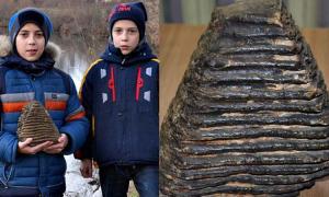 Шестикласник із Буковини знайшов у річці зуб мамонта