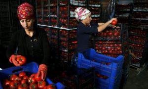 Росія забороняє турецькі продукти через «терористичну загрозу»