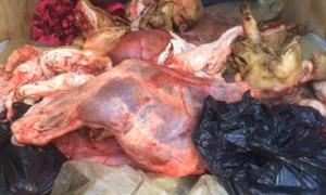 У зоні АТО СБУ затримала ще три вантажі з м’ясопродуктами для терористів