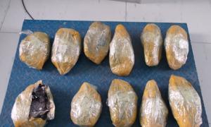 Російські митники конфіскували партію контрабандних ведмежих лап