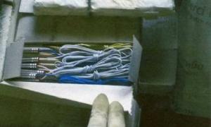 На Житомирщині у начальника армійської бази знайшли арсенал зброї