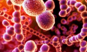 Американські вчені стверджують, що за мікроорганізмами можна визначити час смерті людини
