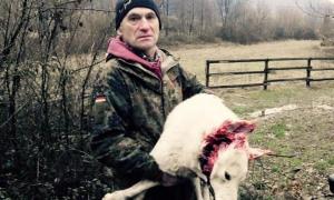 На Закарпатті депутат напав на лісника та застрелив його собаку