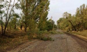 Сильні пориви вітру знеструмили 21 населений пункт Волині