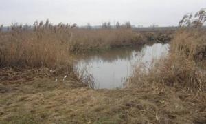 На Київщині риболов підірвався на власному саморобному вибуховому пристрої