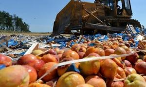 У Псковській області РФ знищено 57 тонн овочів із Білорусі