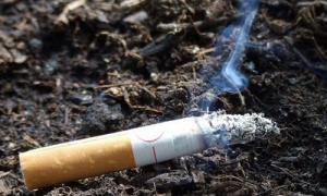 В Італії ввели штраф за кинуті повз урну недопалки