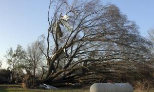 У США через торнадо та повені загинули 43 людини 