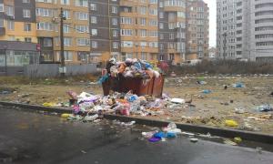 У Луцькій міськраді не реагують на запит депутата Шляхтича щодо ліквідації стихійного смітника 