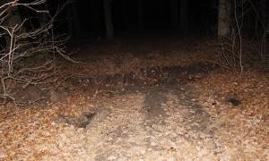 У Хмельницькому троє молодиків пограбували та вивезли в ліс іноземця