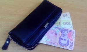 Небайдужа жінка допомогла київській поліції затримати крадія