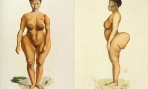 Бейонсе зібралася зняти фільм про рабиню з гігантськими сідницями