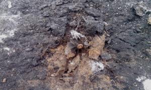 Бойовики продовжують обстрілювати українські позиції