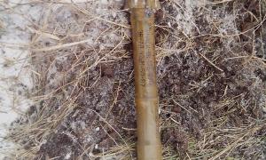 За минулу добу ворог 48 разів обстріляв позиції українських військ