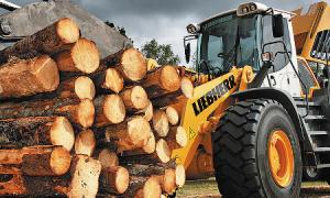 Громадянина України роздавило на лісопильні в Республіці Комі (РФ)