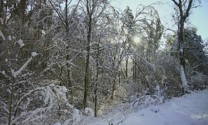 Сильні морози триматимуться по всій території України до кінця січня