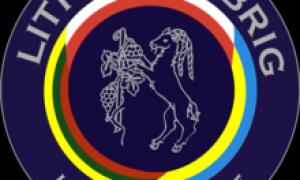Міністри оборони Польщі, України і Литви обговорять військову співпрацю