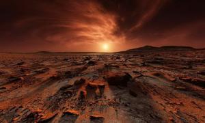 Космонавти вперше виростили гриби в марсіанському середовищі
