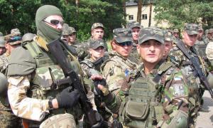 Міноборони Польщі створює три бригади територіальної оборони
