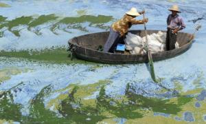 Китайський рибалка виловив у морі сім древніх порцелянових чаш