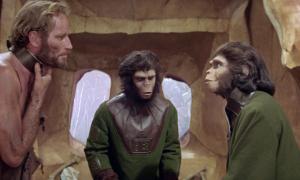 Японські вчені довели, що мавпи могли походити від древніх людей
