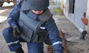 У гаражі жителя Миколаївської області знайшли 31 артилерійський снаряд