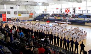 В Угорщині пройшов перший міжнародний турнір Kiskun Cup з кіокушин карате