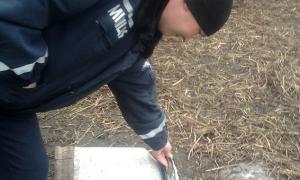 Волинські поліцейські знищили 30 літрів самогону