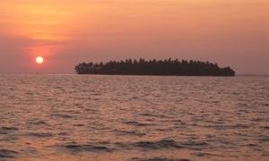 Землетрус магнітудою 4,7 стався на японському острові Хатідзе