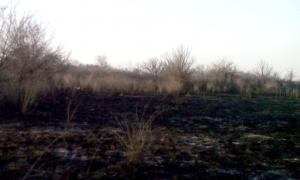 У Дніпропетровській області на місці горіння сухої трави виявлено тіло жінки
