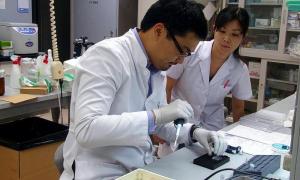 Японські вчені виростили тканини людської печінки