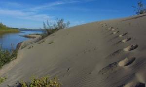 Росіянка потонула, намагаючись попити води з Волги