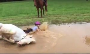 Відео з поні, який грається в болоті, розсмішило соцмережі 
