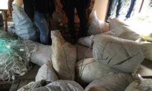 СБУ викрила багатомільйонну схему незаконного вилову риби в Азовському морі