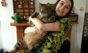 У Британії товстий кіт скинув третину зайвої ваги
